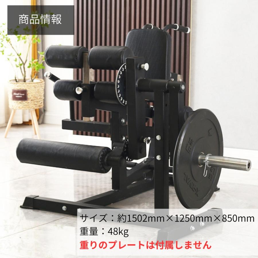 レッグエクステンション レッグカール バックエクステンション アブ