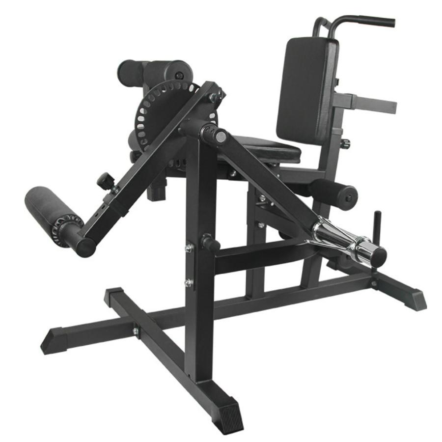 レッグエクステンション レッグカール バックエクステンション アブ