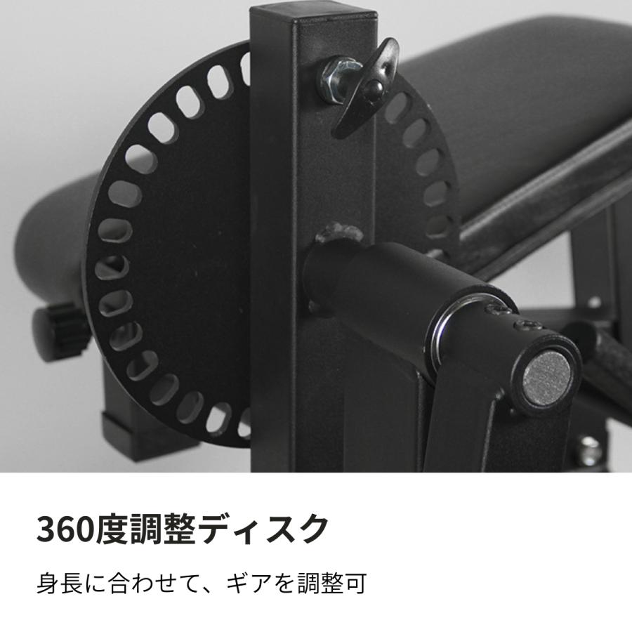 レッグエクステンション レッグカール バックエクステンション アブ