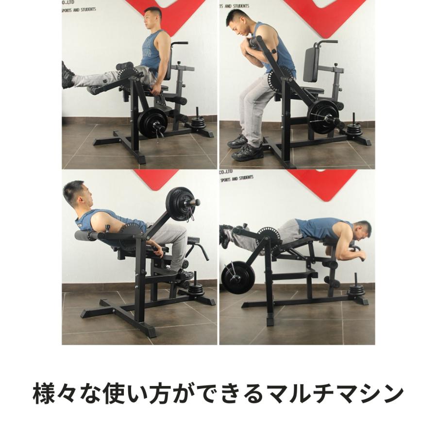 レッグエクステンション レッグカール バックエクステンション アブ