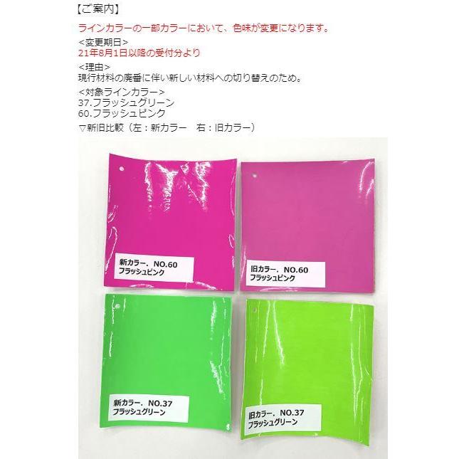 ミズノTS 初期カラー 限定デザイン】オールマイティ TDII 22 L ニスモ (ベルト