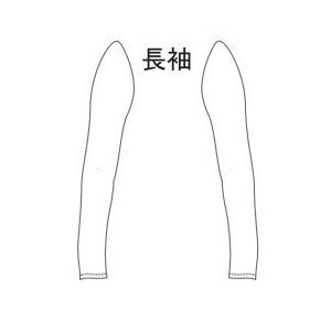 MIZUNO ミズノスペクトラ受注生産 レオタード （レディス）長袖