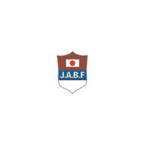 Winning（ウイニング） アマチュア試合用ヘッドギア ボクシング 受注