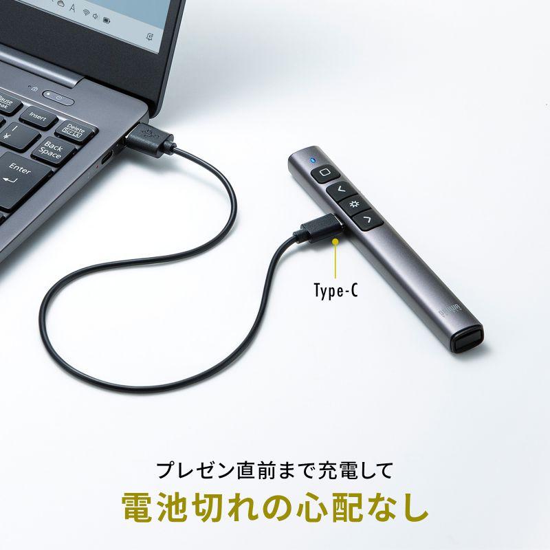 SANWA SUPPLY（サンワサプライ） グリーンレーザーポインター
