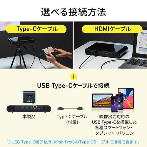 SANWA SUPPLY（サンワサプライ） 【メーカー在庫限り】サンワサプライ