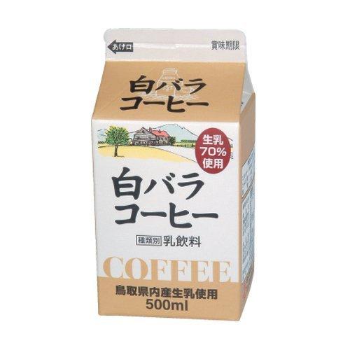 【冷蔵】白バラコーヒー 500mlX10本 缶コーヒー、コーヒー飲料