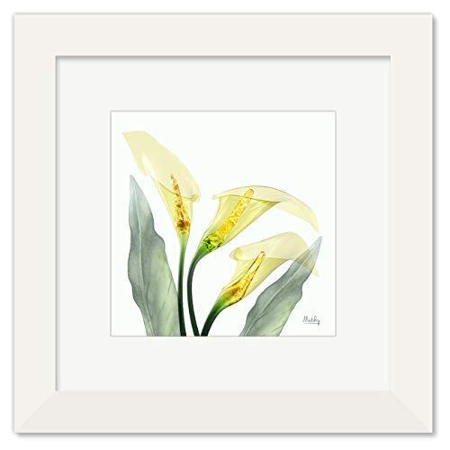 値引 絵画 黄色いユリ インテリア 絵 花 アートパネル 額入り ホワイト 縦36cm X 横36cm A B07v5jsp3n Jincha 通販 Yahoo ショッピング 期間限定送料無料 Lisgis Net