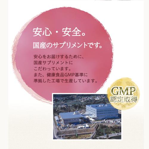 メニコン 【ジネコ公式】PQQ 22mg 医師と共同開発 サプリメント