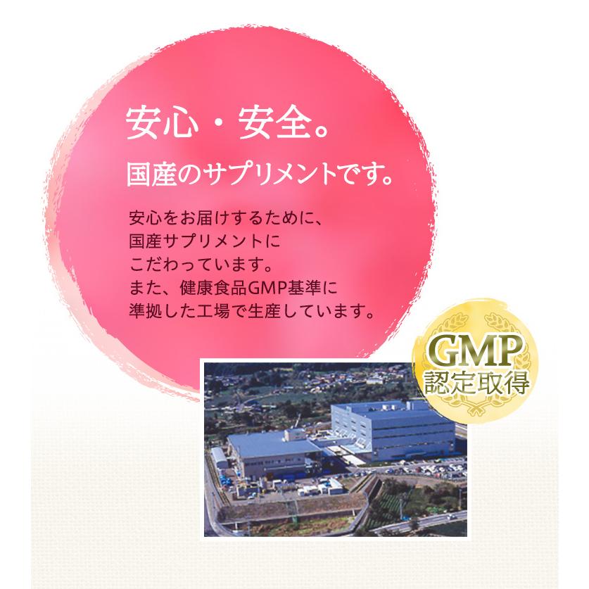 メニコン（menicon） 【ジネコ公式】プレグナ 医師と共同開発 葉酸