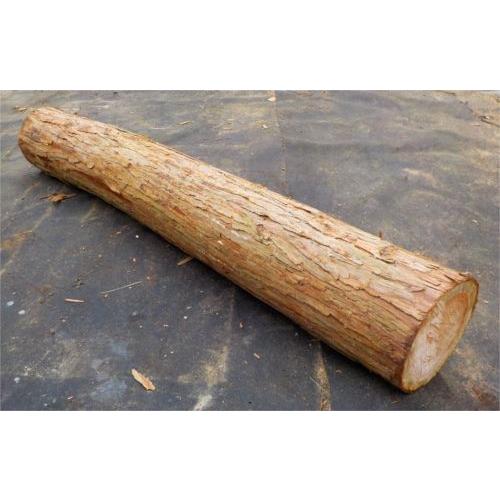 ひのきの丸太原木 無垢材 径15〜18cm×長さ1m 皮つき :g002:じねん工房 