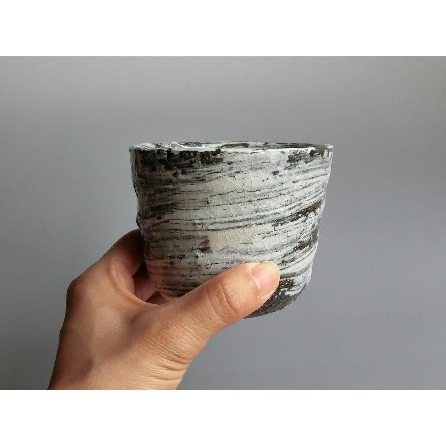 【唐津焼中川自然坊窯】中川恭平作 刷毛目唐津焼酎杯　桐箱付 |  | 06