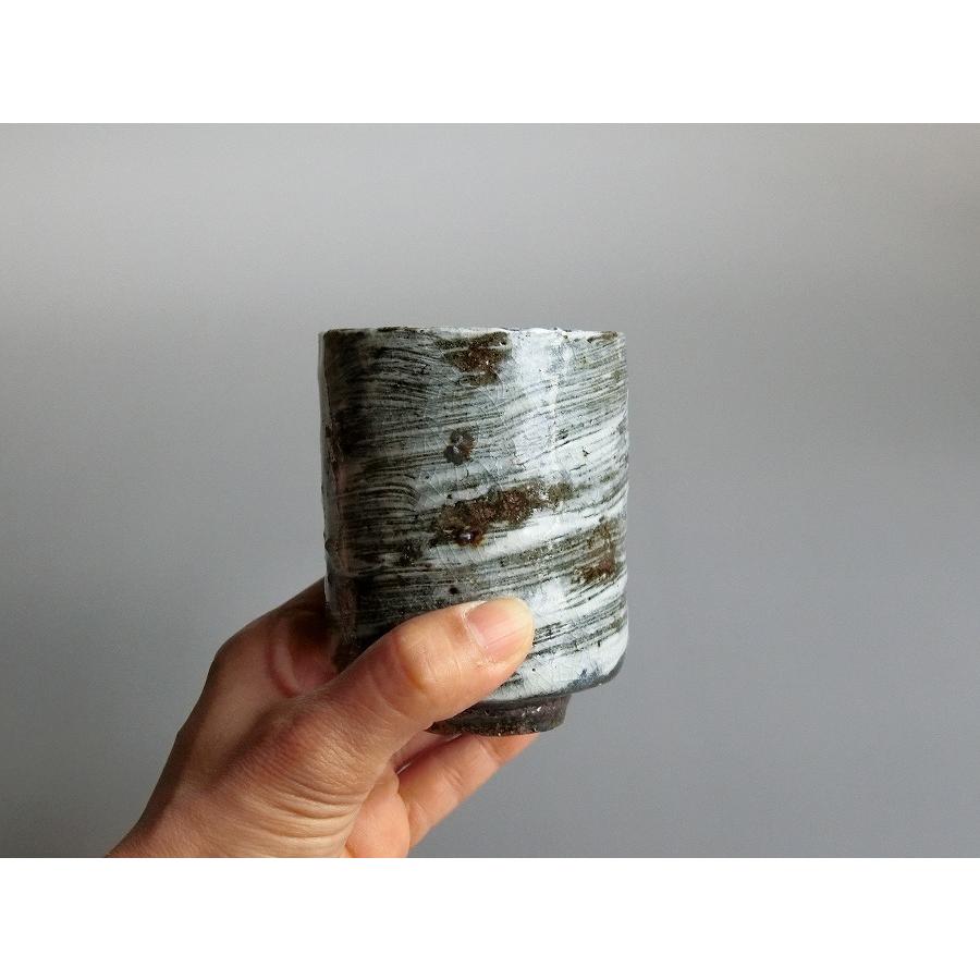 【唐津焼中川自然坊窯】中川恭平作 刷毛目唐津筒湯呑（紙箱入） |  | 05