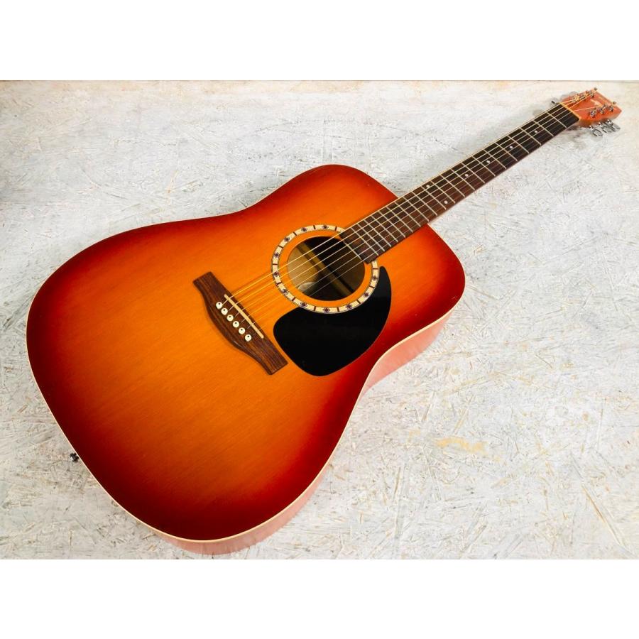Art＆ Lutherie A&L Cedar 使用感あり リアル レリック風 Art & Lutherie アート&ルシアー Ami Cedar Nylon Art & Lutherie Ami