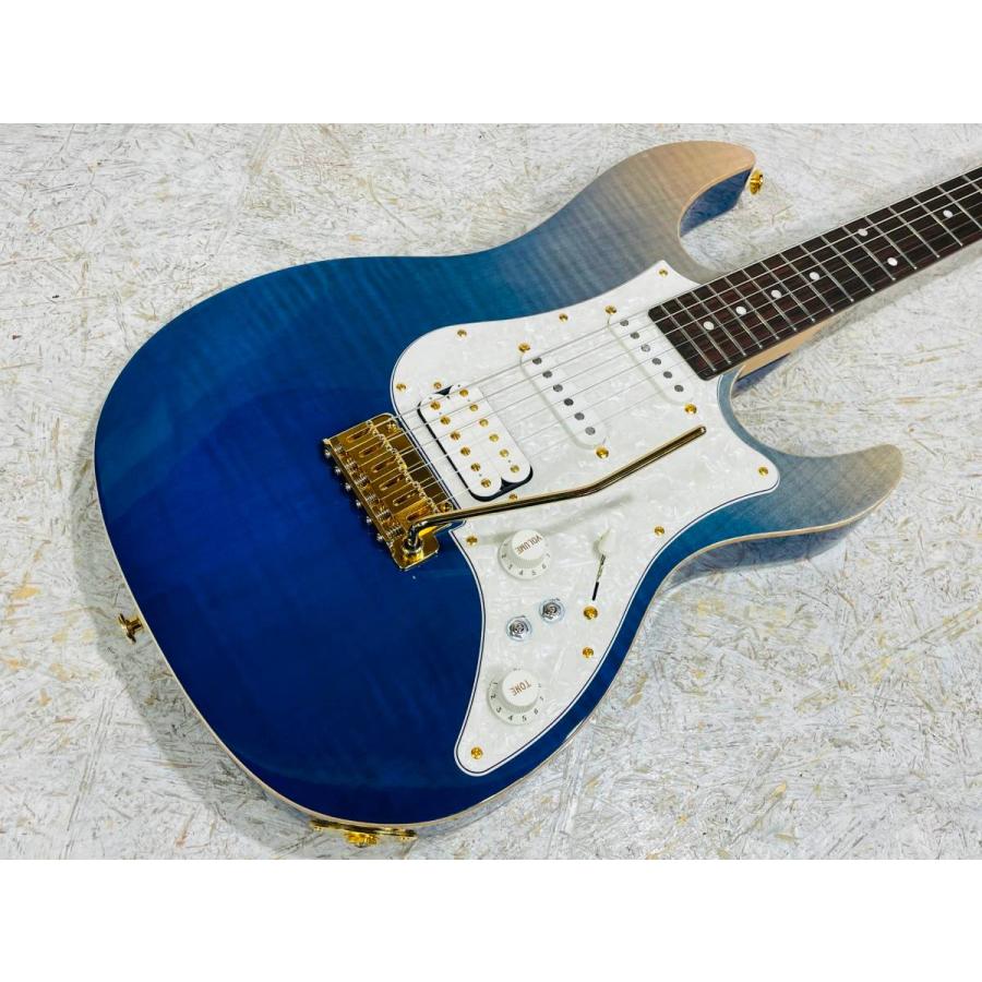 【Hal】Fujigen EOS2-FM-R/NBG EOS2-FM-R / FGN Guitars