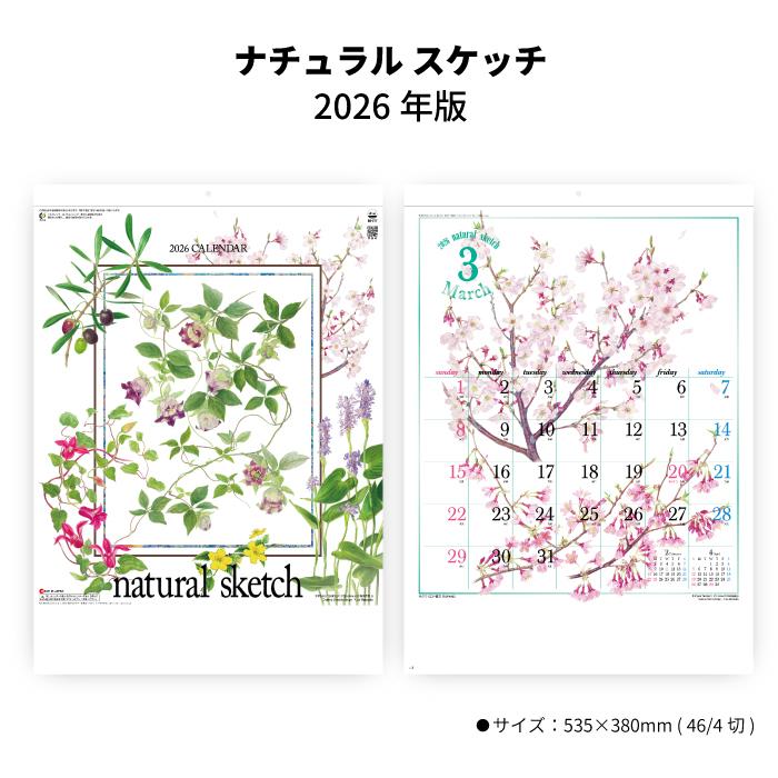 ポイント3倍 カレンダー 23年 壁掛け ナチュラルスケッチ Sg277 カレンダー 壁掛け 23年版 おしゃれ 花 アート 高橋京子 イラスト 植物画 絵画 神宮館縁堂ヤフー店 通販 Yahoo ショッピング