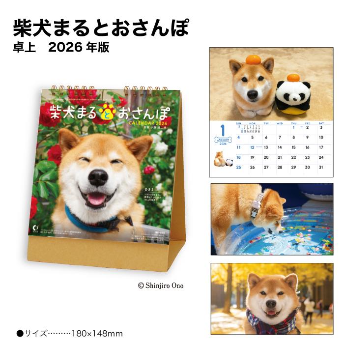 新日本カレンダー カレンダー 2026 卓上 柴犬まるとおさんぽ NK529