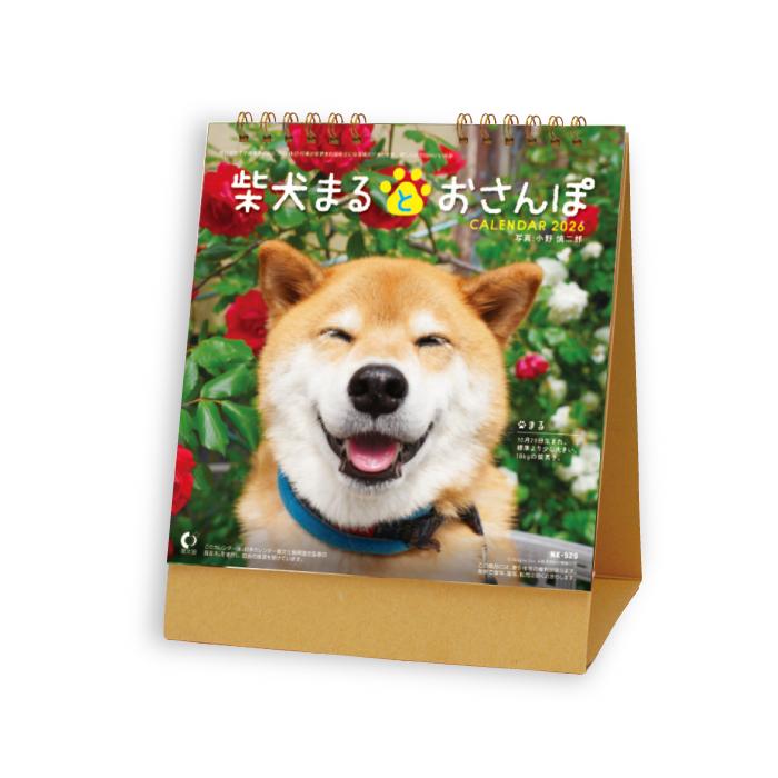 新日本カレンダー カレンダー 2026 卓上 柴犬まるとおさんぽ NK529