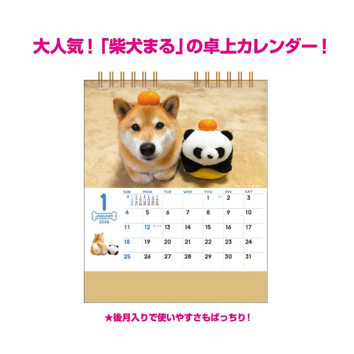 新日本カレンダー カレンダー 2026 卓上 柴犬まるとおさんぽ NK529