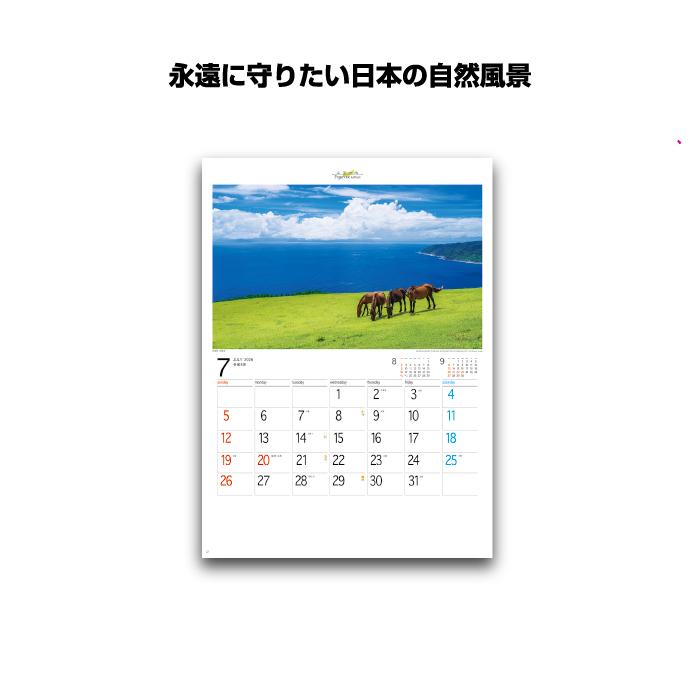 新日本カレンダー カレンダー 2026年 壁掛け フォーエバー・ジャパン