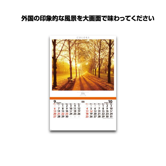 新日本カレンダー カレンダー 2026年 壁掛け (フィルム)カラーズ NK415
