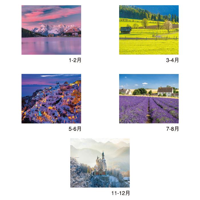 新日本カレンダー カレンダー 2026年 壁掛け (フィルム)カラーズ NK415