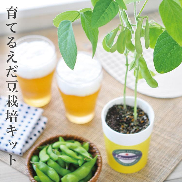育てるえだ豆栽培キット 栽培セット えだ豆 枝豆 かわいい おつまみ