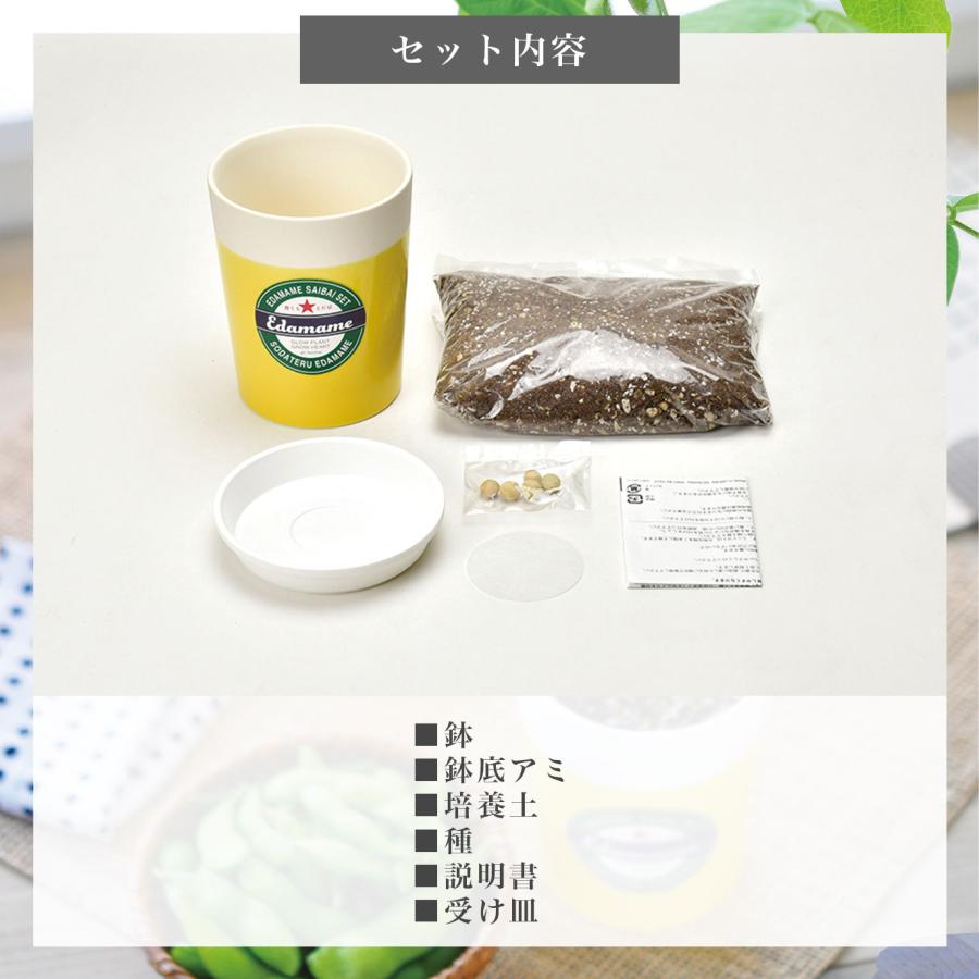 育てるえだ豆栽培キット 栽培セット えだ豆 枝豆 かわいい おつまみ