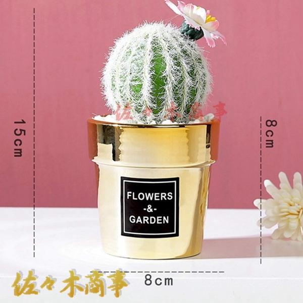 小型 フェイクグリーン サボテン 多肉植物 アロエフェイクフラワー 日陰や寒さに強い 世話いらず おしゃれ 枯れない プレミアム 土なし 撮影 キッチン 子供部屋 Rifdf2 佐々木 通販 Yahoo ショッピング