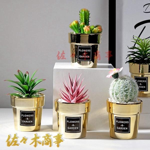 小型 フェイクグリーン サボテン 多肉植物 アロエフェイクフラワー 日陰や寒さに強い 世話いらず おしゃれ 枯れない プレミアム 土なし 撮影 キッチン 子供部屋 Rifdf2 佐々木 通販 Yahoo ショッピング