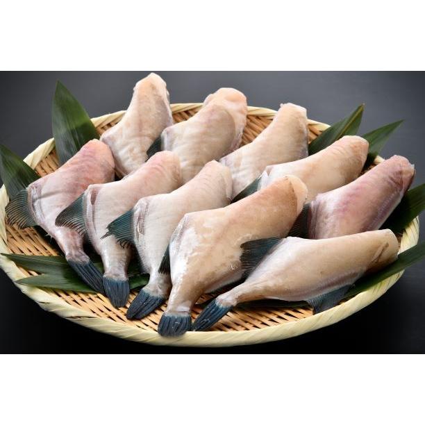 ウマヅラハギのむき身 ５尾 6尾入り 2パック 冷凍 Cargosupports Com