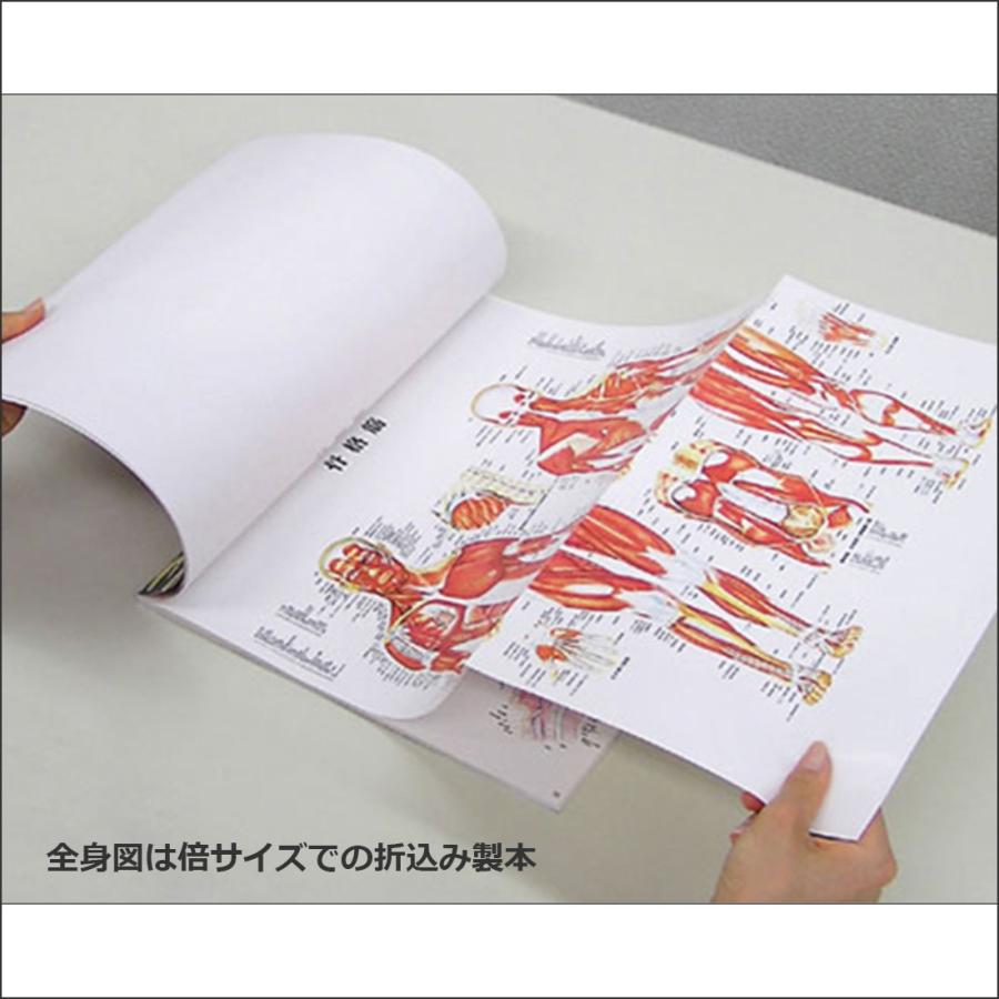 実習人体解剖図譜 実習人体解剖図譜(浦良治) / 株式会社 wit tech / 古本、中古本
