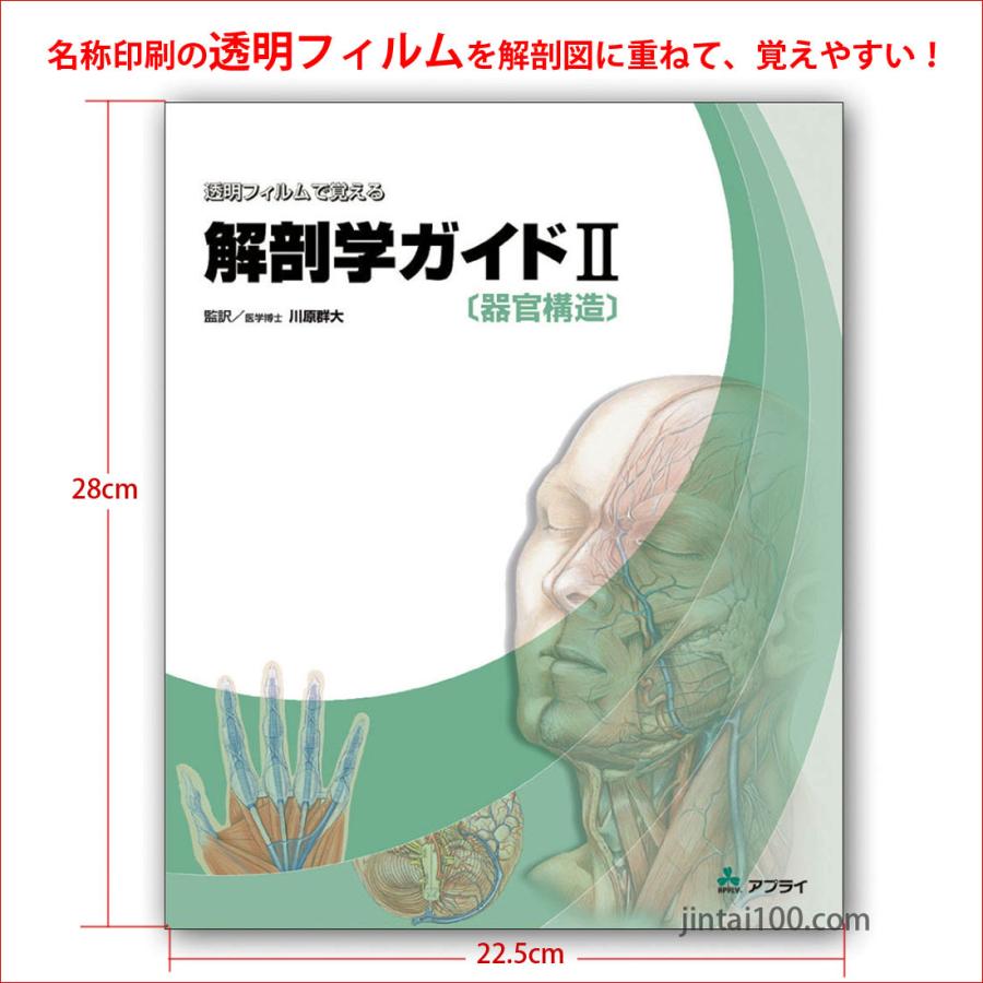 医学図譜集 消化器編II 【Frank H. Netter】解剖学専門書 医学 ネッタ-医学図譜: 学生版 (脳・神経系 1) | Frank H.Netter |本