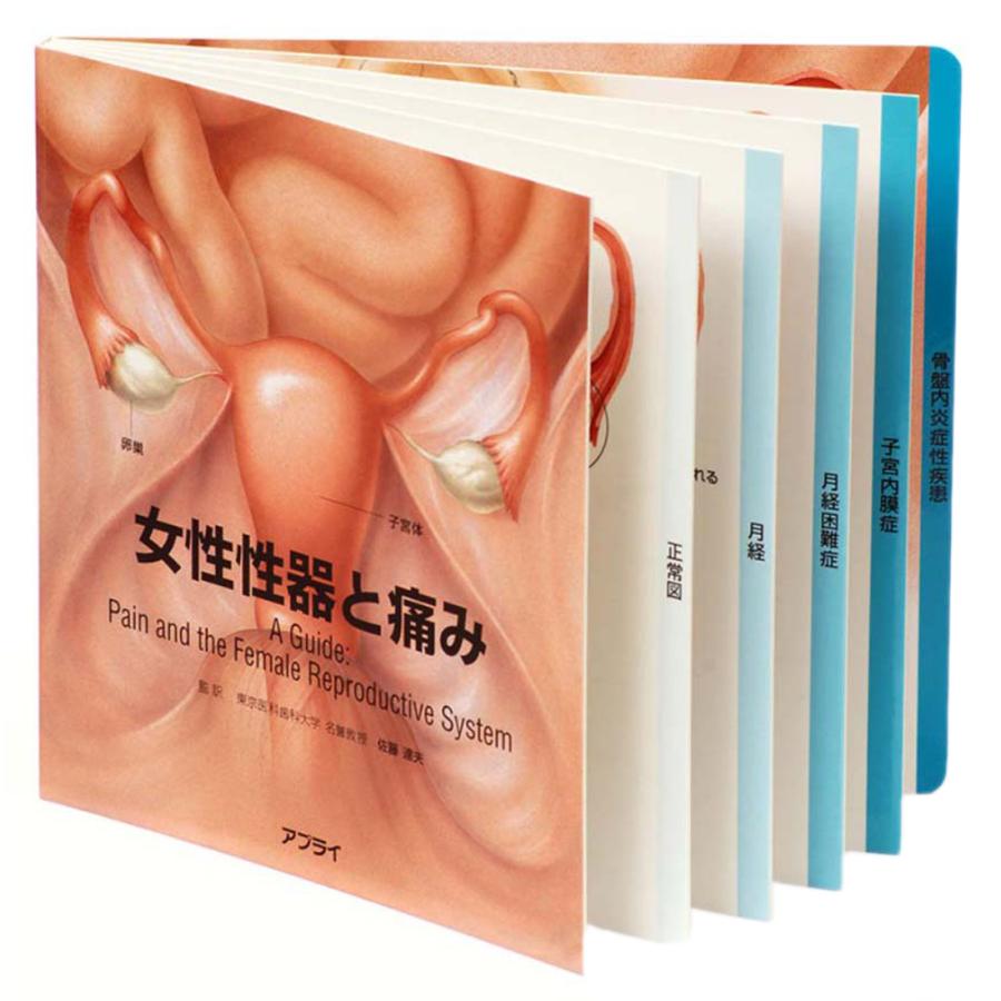 女性性器と痛み 型抜き絵本 Tp021 患者説明用絵本 Tp021 人体百科 通販 Yahoo ショッピング