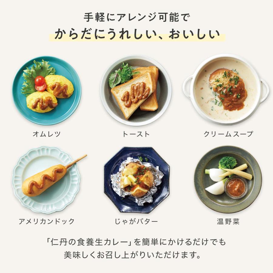 【森下仁丹公式】仁丹の食養生カレー 1箱 (30g×10本) [ レトルトカレー 養生 カレー 薬日本堂 保存食 非常食 防災 備蓄 時短 ] | 森下仁丹 | 13