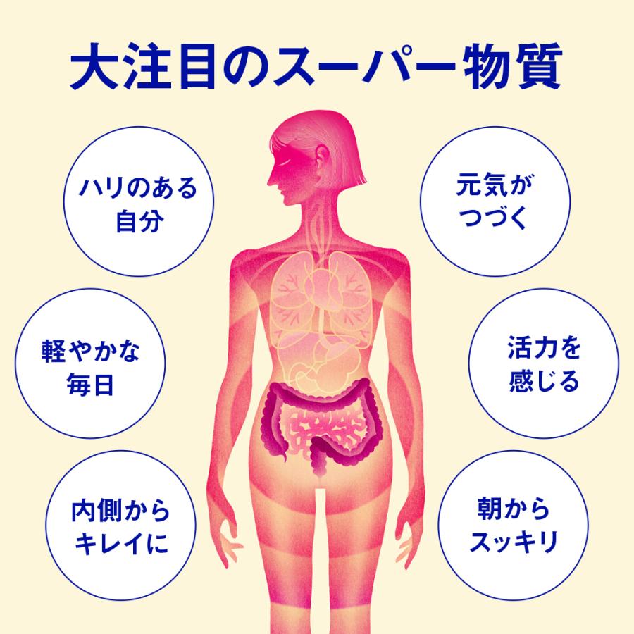 森下仁丹 【森下仁丹公式】タンサ脂肪酸 30包 [ 短鎖脂肪酸
