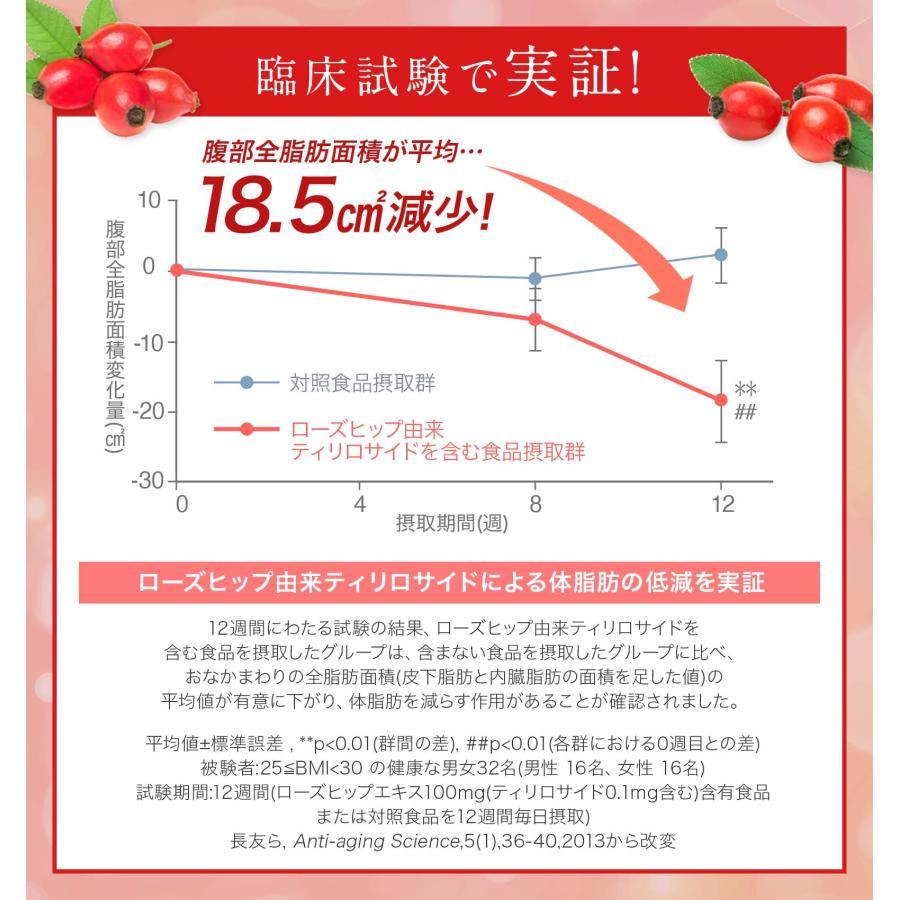 森下仁丹 【森下仁丹公式】ヘルスエイド ローズヒップ 30日分 森下仁丹 【森下仁丹公式】ヘルスエイド ローズヒップ 30日分