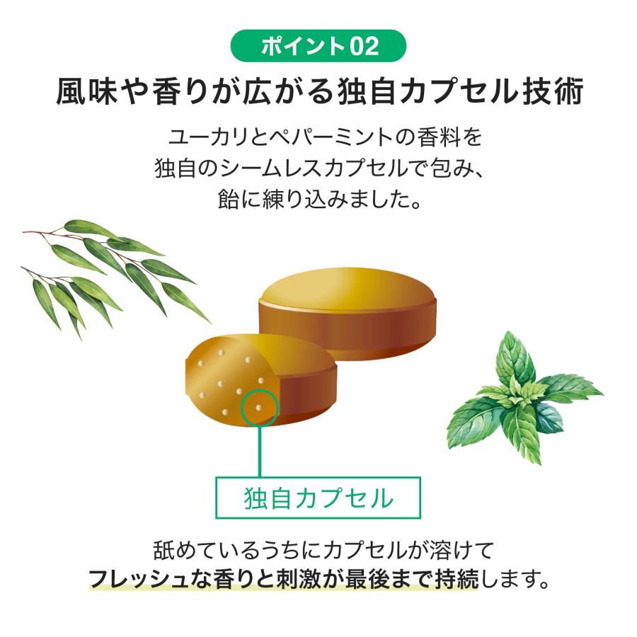 森下仁丹 【森下仁丹公式】鼻・のど甜茶飴 さらにスーッと長持ち 森下仁丹 【森下仁丹公式】鼻・のど甜茶飴 さらにスーッと長持ち