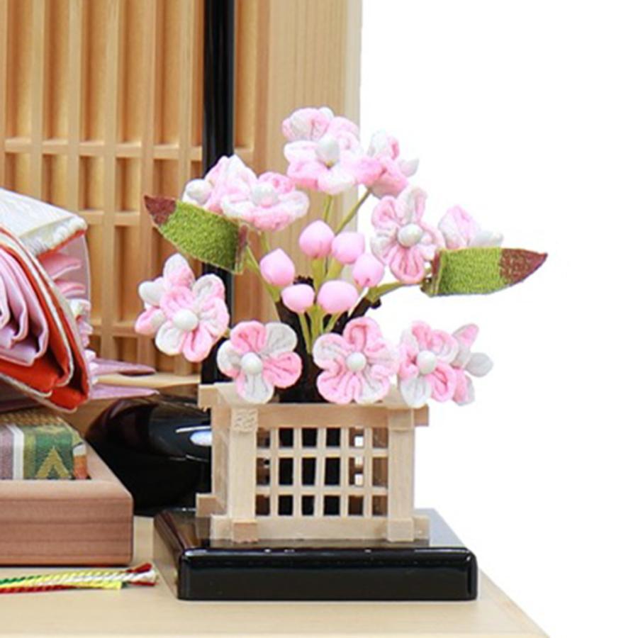 【限定品】 雛人形 ひな人形 お祝い 収納式 親王飾り 二人飾り 2人飾り 収納箱飾り おしゃれ かわいい おしゃれ 可愛い コンパクト 【BCD3364441220】(119308円)