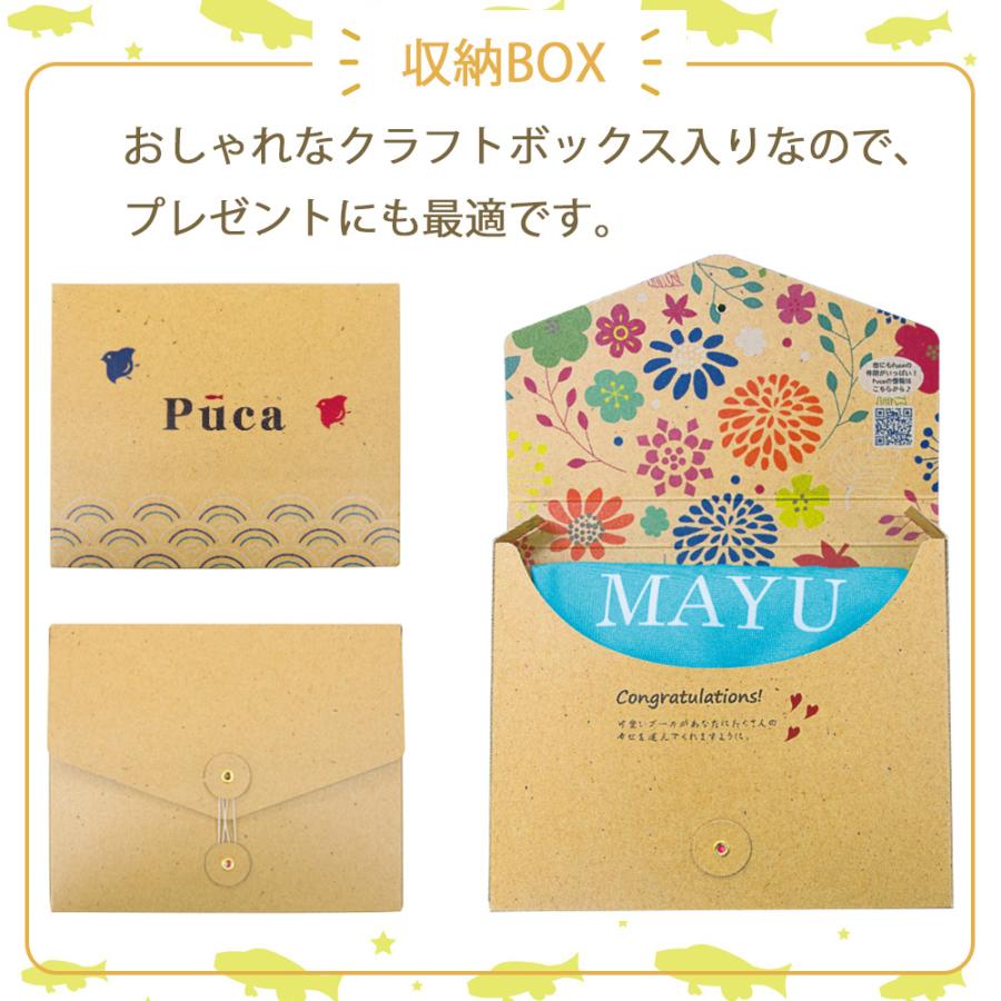 鯉のぼり こいのぼり コンパクト Puca -プーカ- えらべる たのしさ