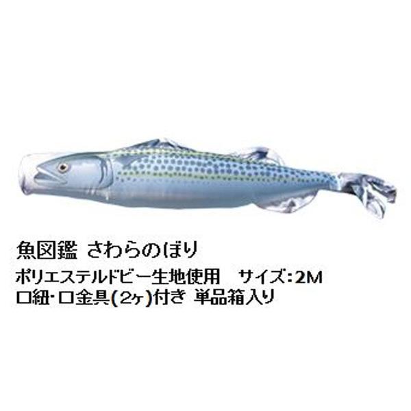 さわらのぼり 魚図鑑 ベビー、キッズ、マタニティ-記念、行事用品-鯉のぼり