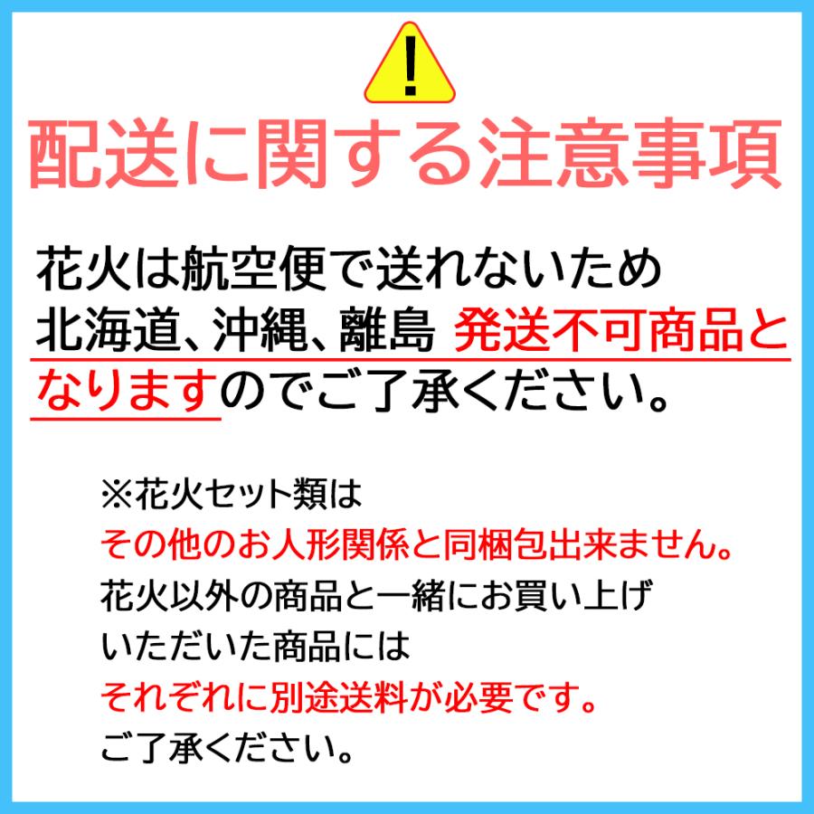 花火 手持ち 噴出 はなび 花火セット6 cd 手持ち花火 国産品有 噴出多め 打上連発 55本詰め合わせ 夏祭り キャンプ｜jinya-3｜05