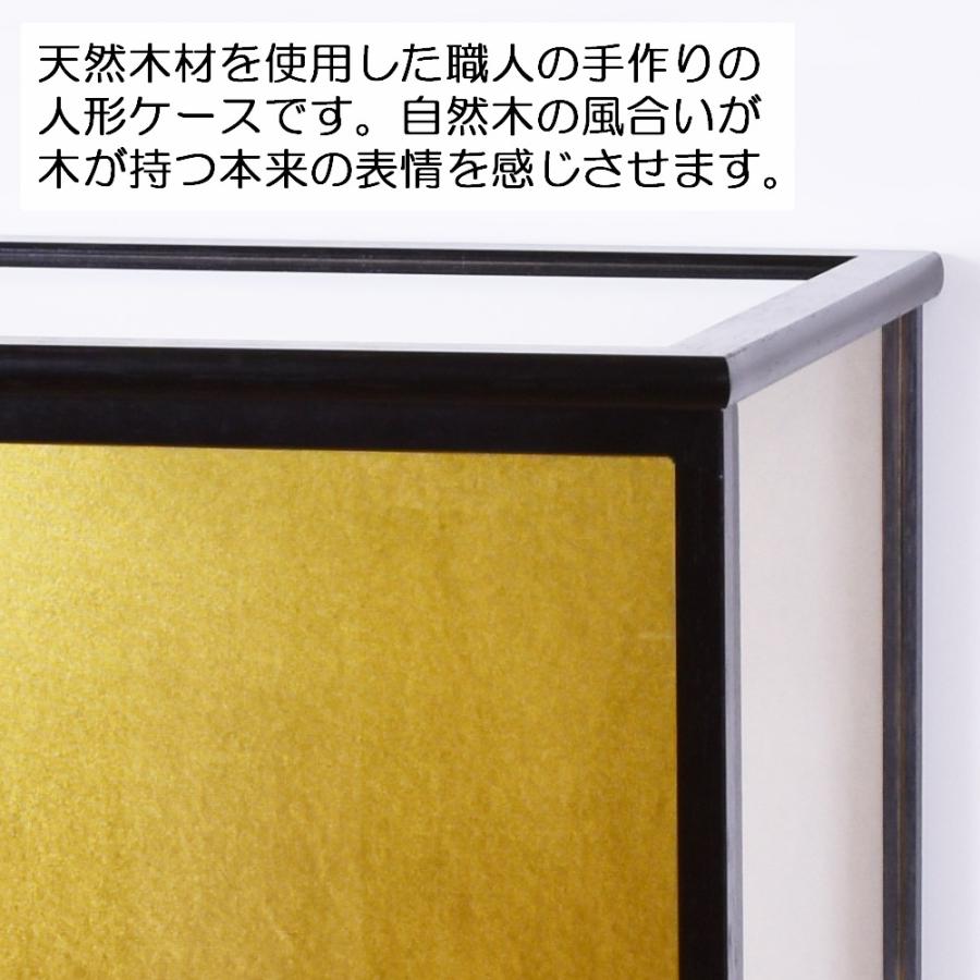 人形ケース ガラス人形ケース 幅 間口30奥行24高50cm(ガラス寸法）内