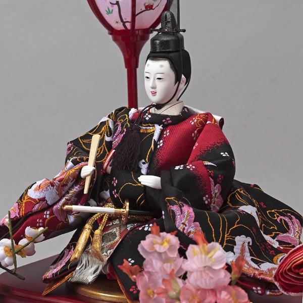 雛人形　親王飾り 雛人形 親王飾り ケース飾り ひな人形 紅雅 143-227 : 雛人形-五月人形
