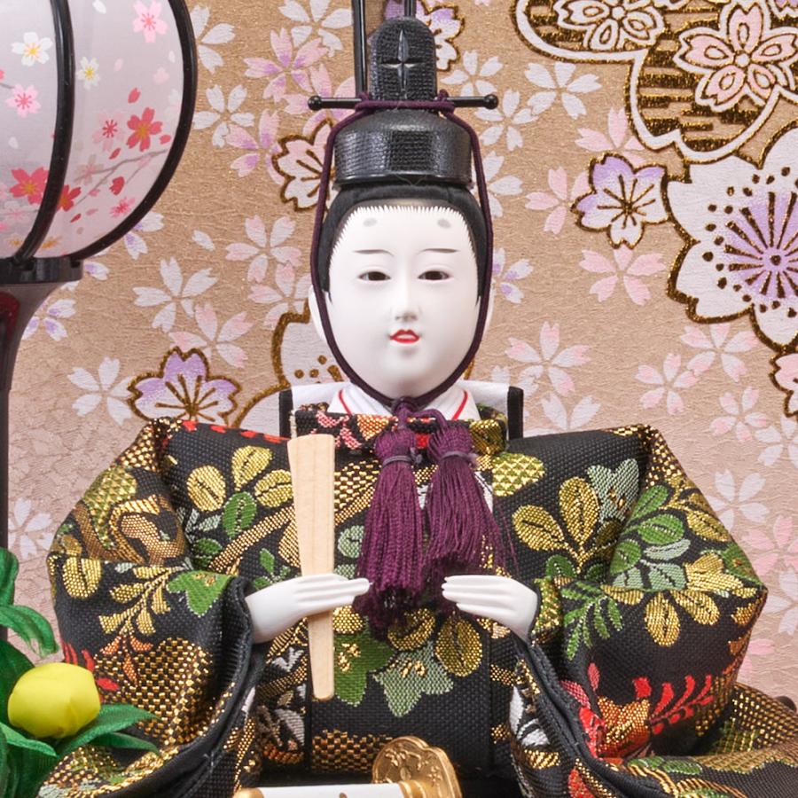雛人形 コンパクト ケース飾り選べる アクリル 三五親王飾り 金襴仕立