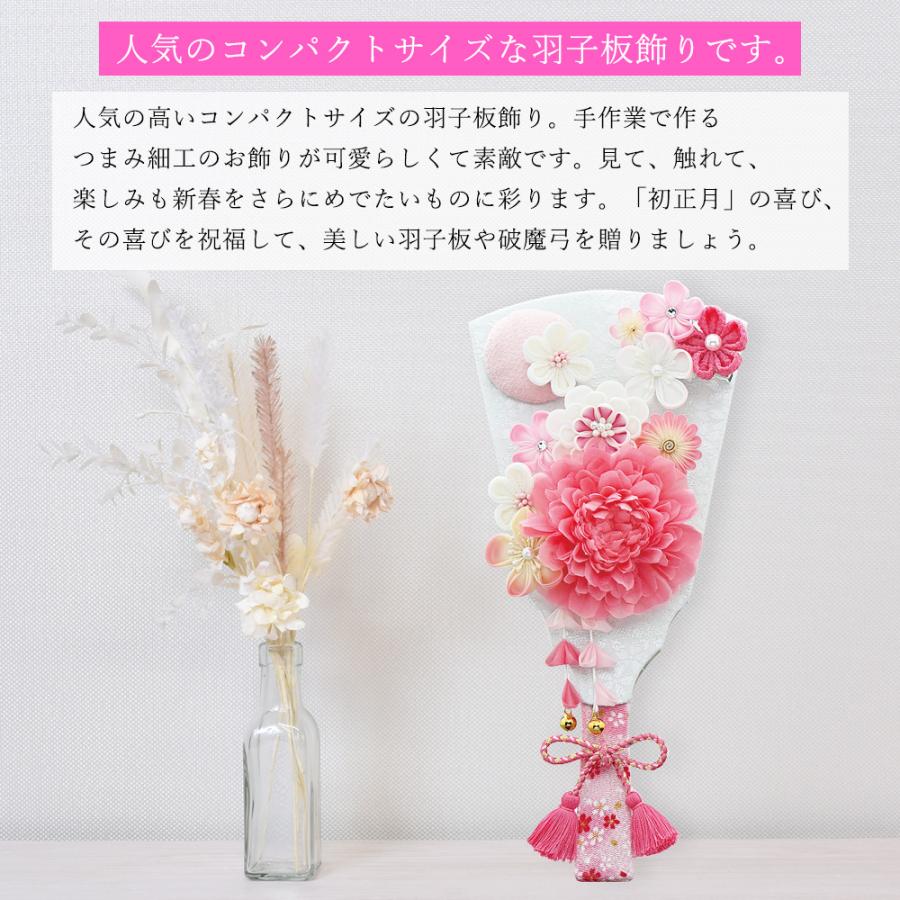 飾りつまみ　羽子板9号 つまみ羽子板ケース飾り 9号 アクリルケース 壁掛可能タイプ 5EH