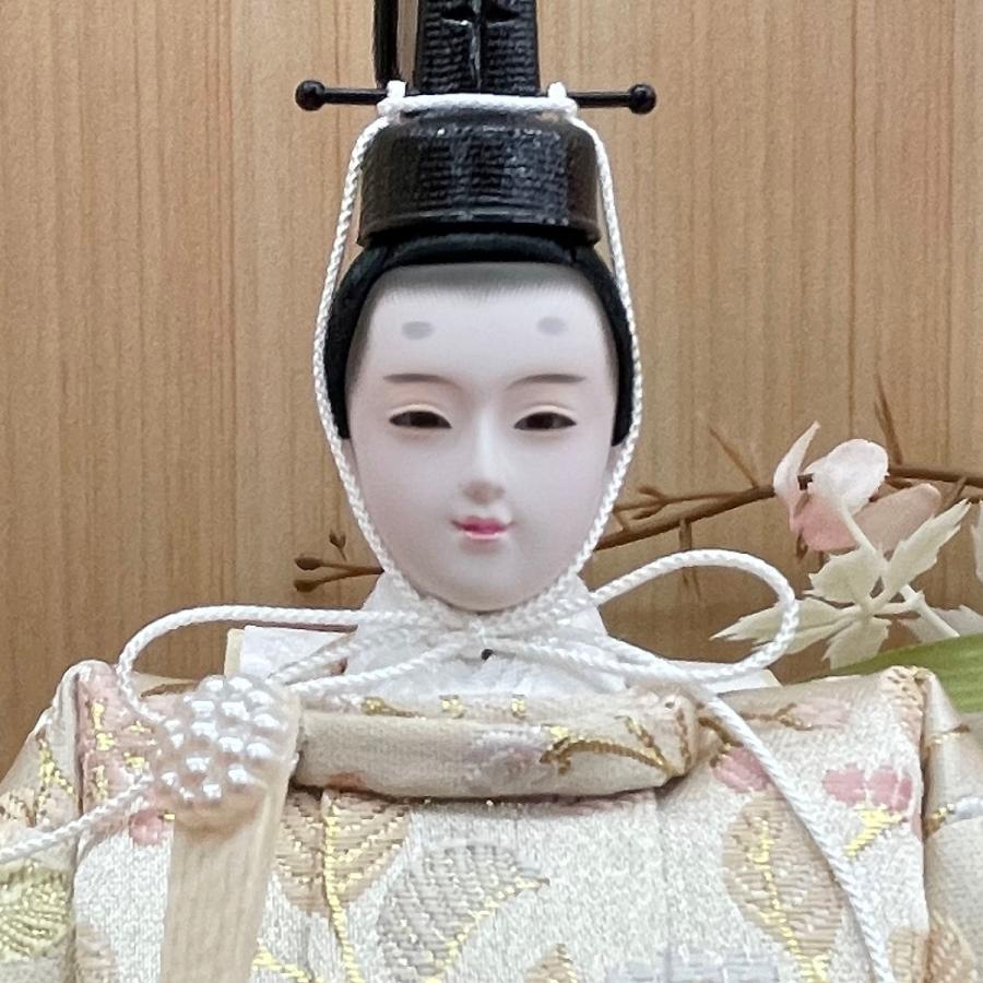 雛人形 コンパクト おしゃれ お祝い ひな人形 ケース飾り 親王飾り