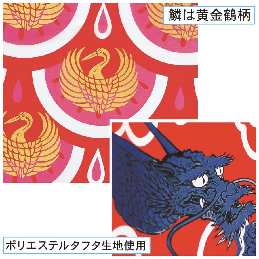 鯉のぼり 庭 園用 3m6点セット 錦龍 こいのぼり ポール別売り 徳永鯉のぼりの画像