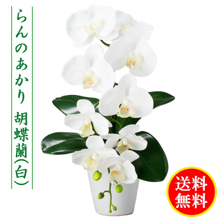 盆提灯 ミニサイズ らんのあかり 飾花 胡蝶蘭 白 モダン コンパクト 送料無料 A8b22 Ran E2578 雛人形 五月人形 販売 通販の陣屋 通販 Yahoo ショッピング