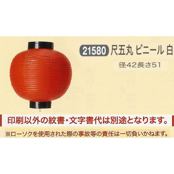 祭礼提灯 特殊提灯 提灯 文字入れ 紋入 別料金 尺五丸 ビニール 白 ちょうちん 2025