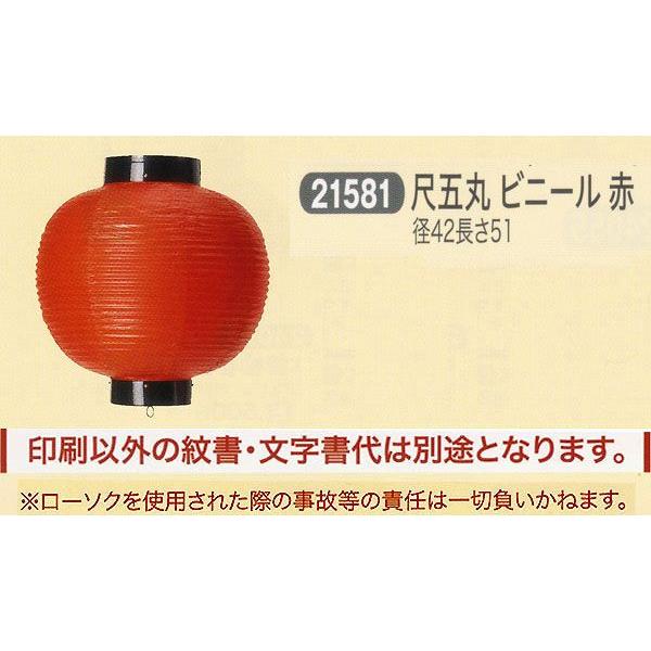 祭礼提灯 特殊提灯 提灯 文字入れ 紋入 別料金 尺五丸 ビニール 赤 ちょうちん 2025